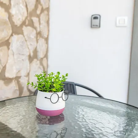 Airvista * Antimachia